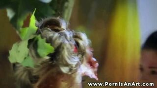 Két forró lány nyaldosja a punciját a szabadban